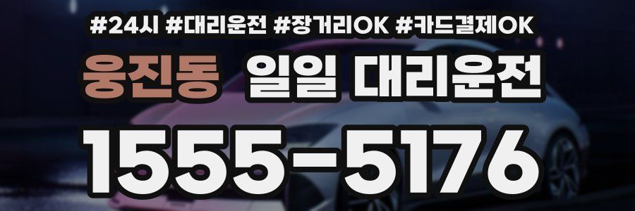 웅진동 일일 대리운전