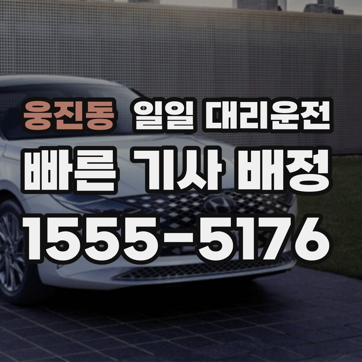 웅진동 일일 대리운전