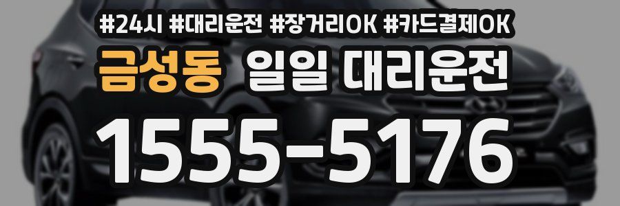 금성동 일일 대리운전