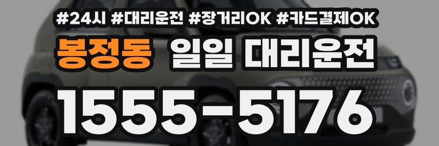 봉정동 일일 대리운전