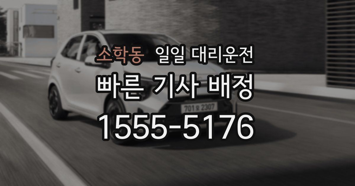 소학동 일일 대리운전