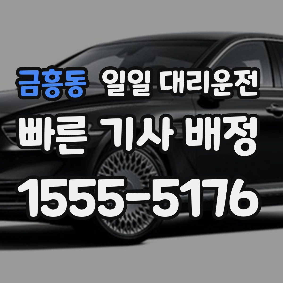 금흥동 일일 대리운전