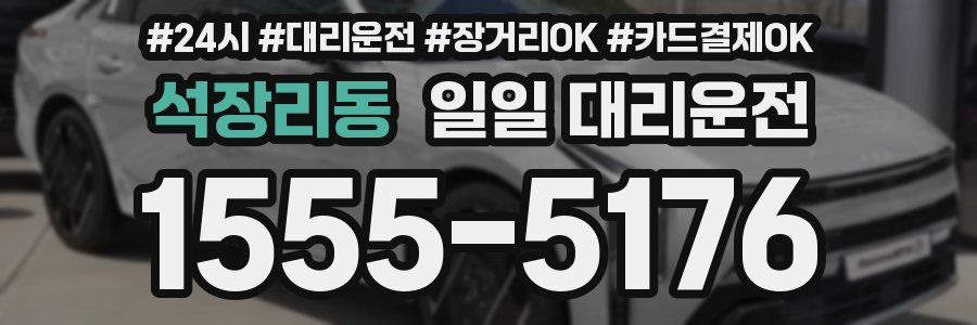 석장리동 일일 대리운전