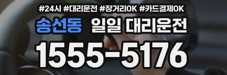 송선동 일일 대리운전