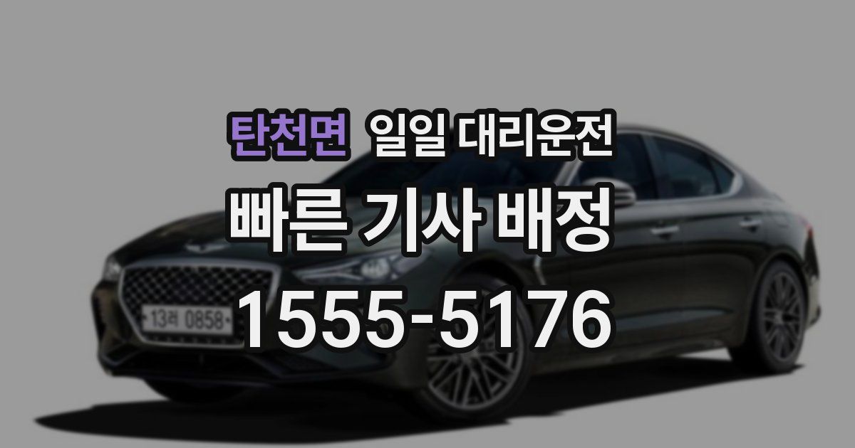 탄천면 일일 대리운전