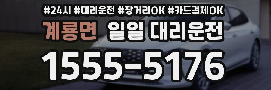 계룡면 일일 대리운전