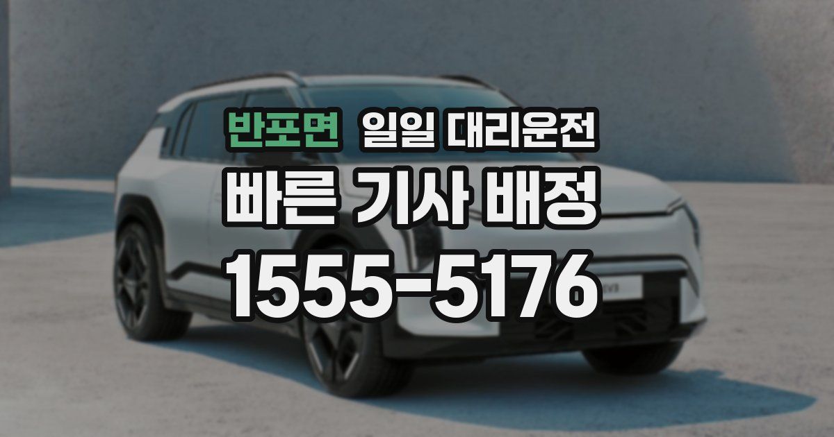 반포면 일일 대리운전