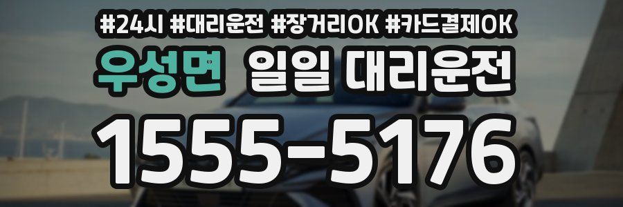 우성면 일일 대리운전