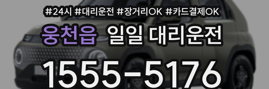 웅천읍 일일 대리운전
