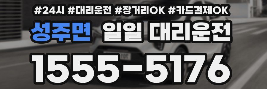 성주면 일일 대리운전