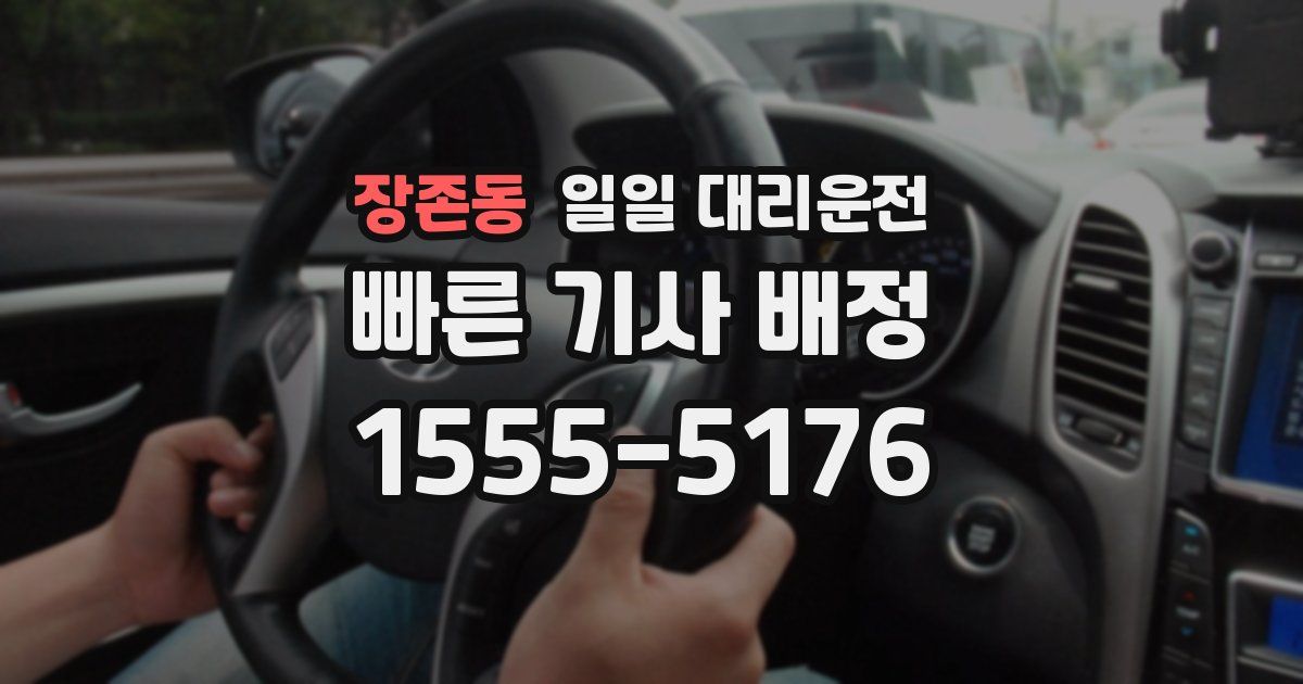 장존동 일일 대리운전