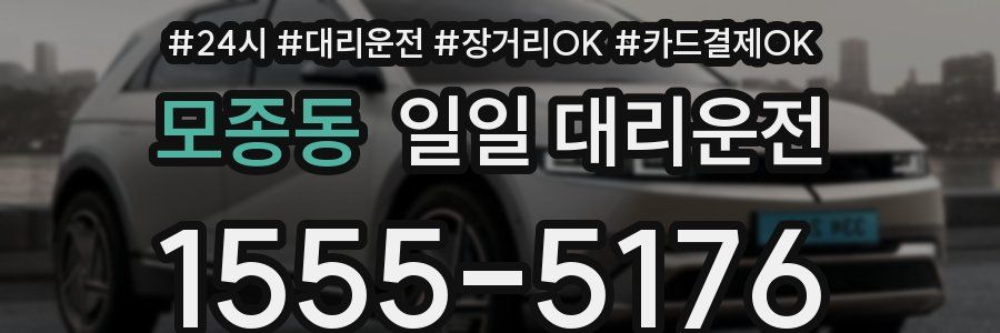 모종동 일일 대리운전