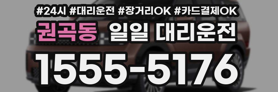 권곡동 일일 대리운전