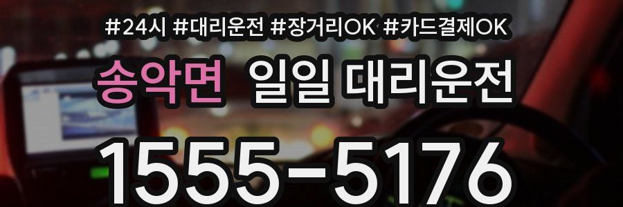 송악면 일일 대리운전