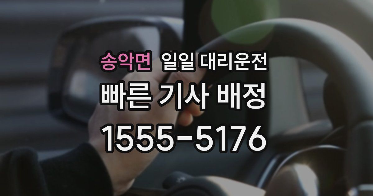 송악면 일일 대리운전
