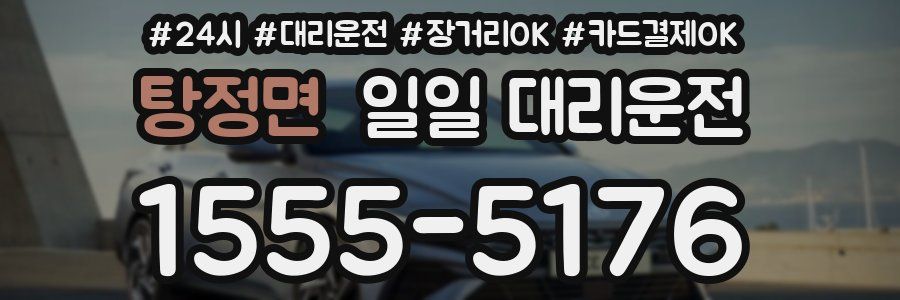 탕정면 일일 대리운전