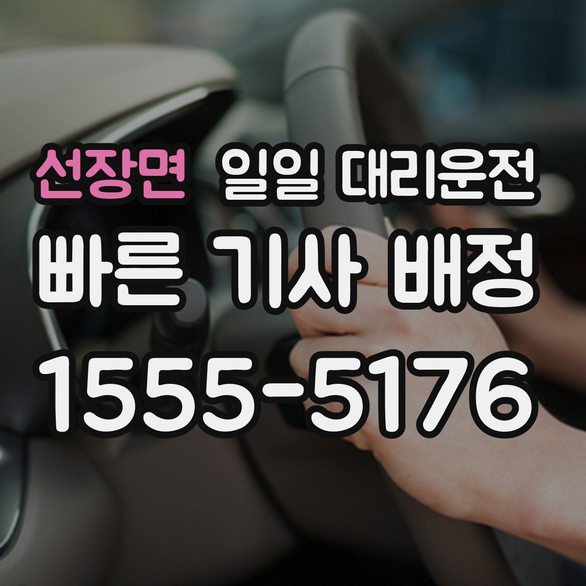 선장면 일일 대리운전