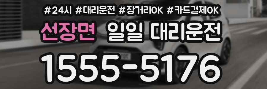 선장면 일일 대리운전