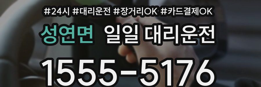 성연면 일일 대리운전