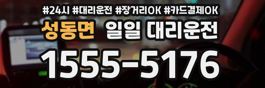 성동면 일일 대리운전