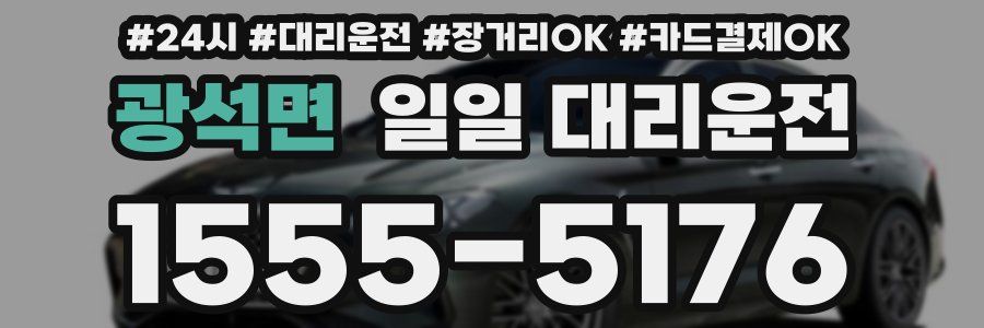 광석면 일일 대리운전
