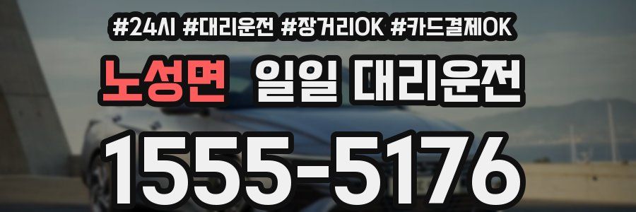 노성면 일일 대리운전
