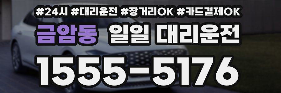 금암동 일일 대리운전