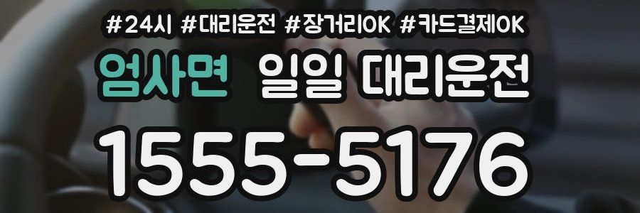 엄사면 일일 대리운전