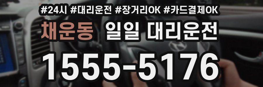 채운동 일일 대리운전