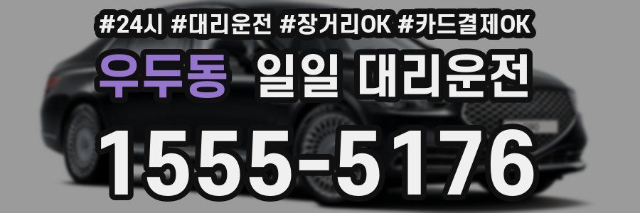 우두동 일일 대리운전