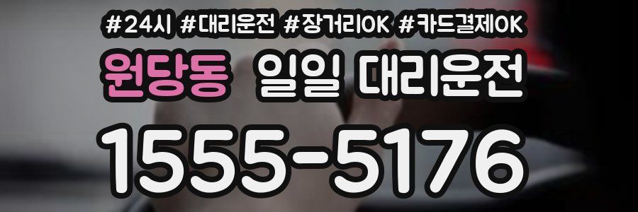 원당동 일일 대리운전