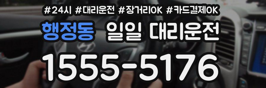 행정동 일일 대리운전