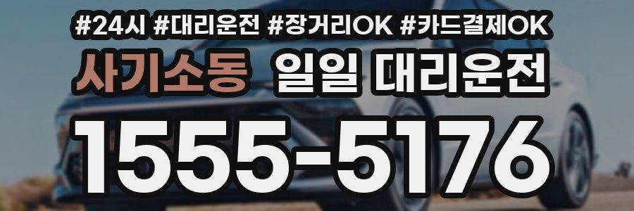 사기소동 일일 대리운전