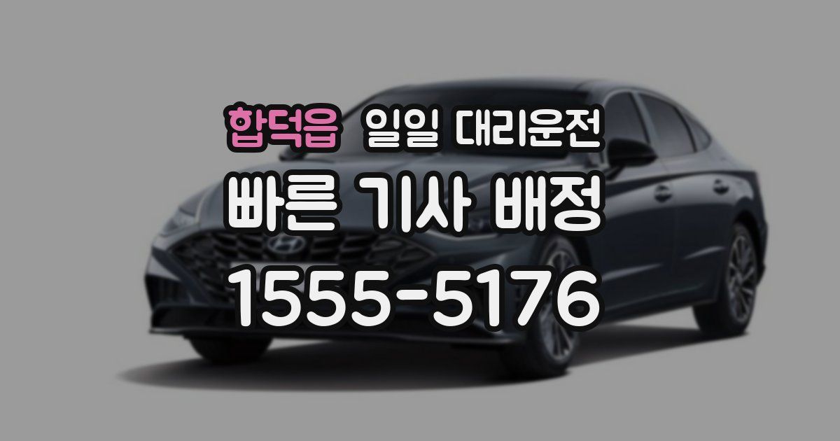 합덕읍 일일 대리운전