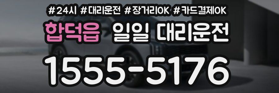 합덕읍 일일 대리운전