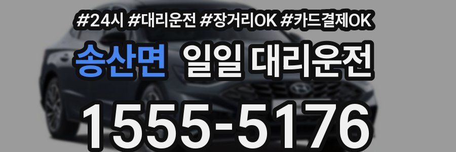 송산면 일일 대리운전