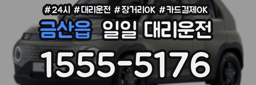 금산읍 일일 대리운전
