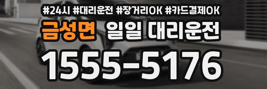 금성면 일일 대리운전
