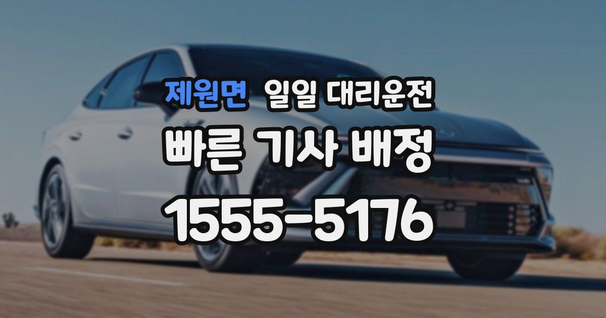 제원면 일일 대리운전