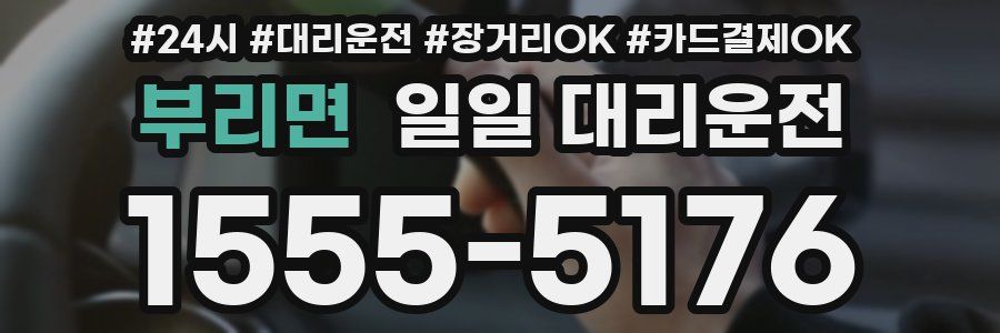부리면 일일 대리운전