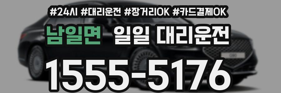 남일면 일일 대리운전