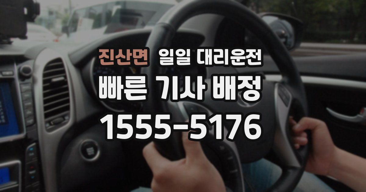 진산면 일일 대리운전