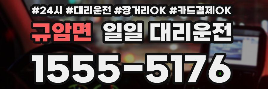 규암면 일일 대리운전