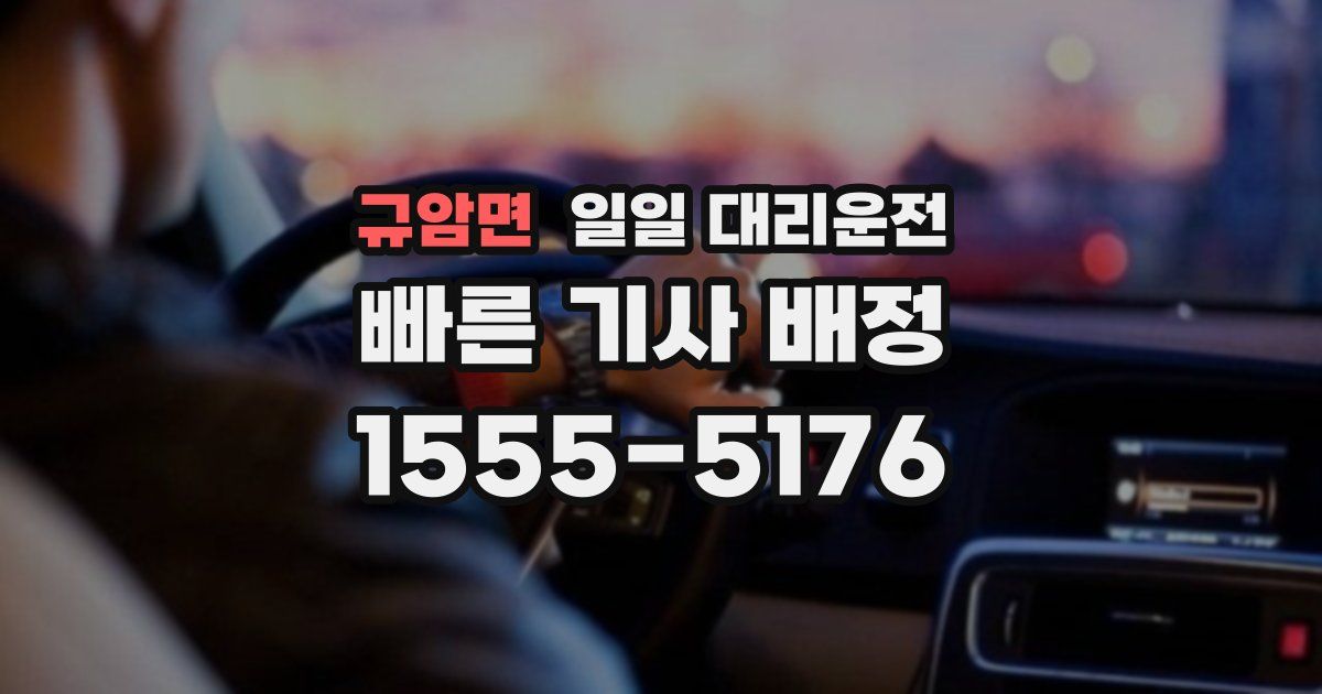 규암면 일일 대리운전