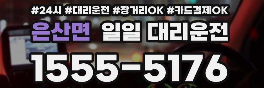 은산면 일일 대리운전