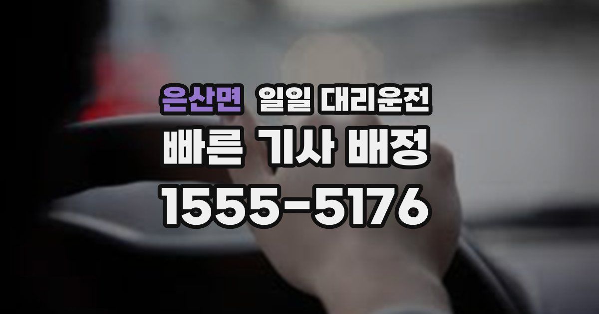 은산면 일일 대리운전