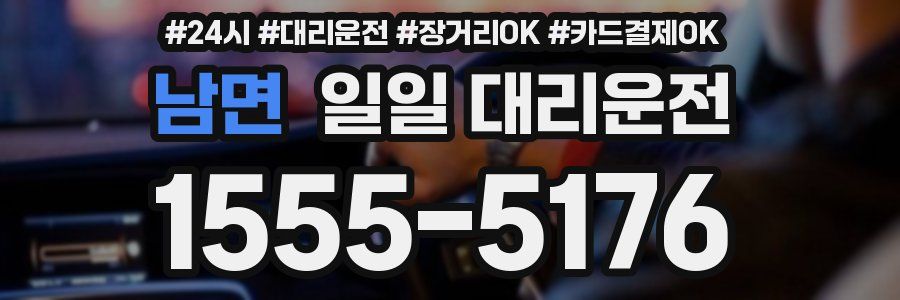 남면 일일 대리운전