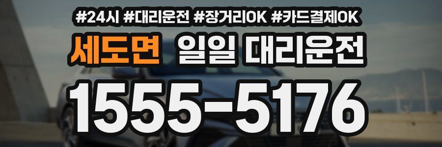 세도면 일일 대리운전