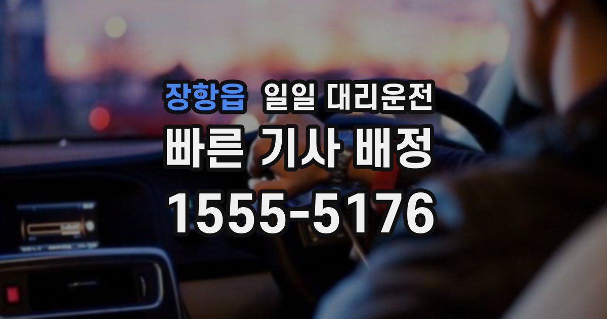 장항읍 일일 대리운전