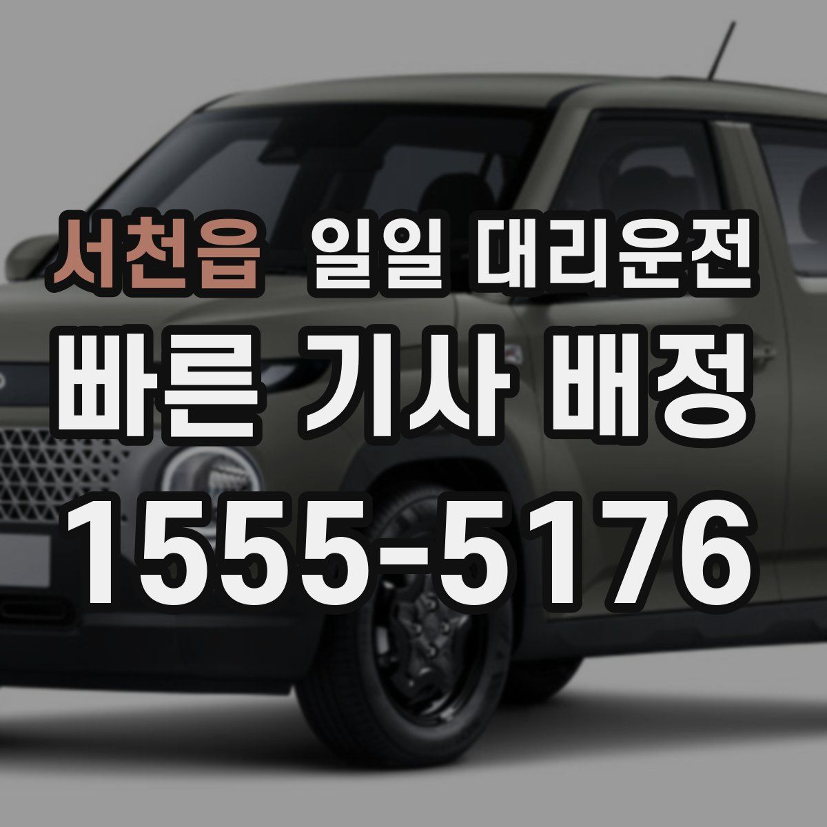 서천읍 일일 대리운전